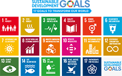 Approaches to the SDGs